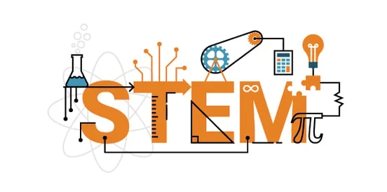 scientific literacy and critical thinking skills reflection Celebrating women in stem
