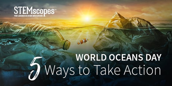 World Oceans Day: 5 Ways to Take Action