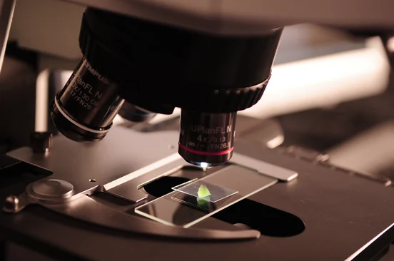 scientific literacy and critical thinking skills reflection 10 More Careers in Science for 2018