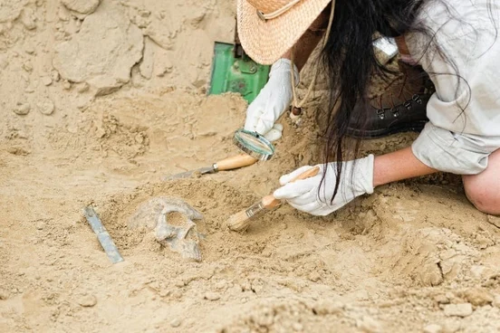 scientific literacy and critical thinking skills reflection How Playing Outside Increases Science Understanding and Real World Learning