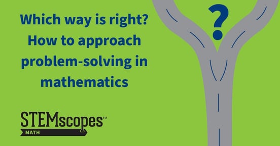 Which Way is Right? Problem-Solving in Mathematics